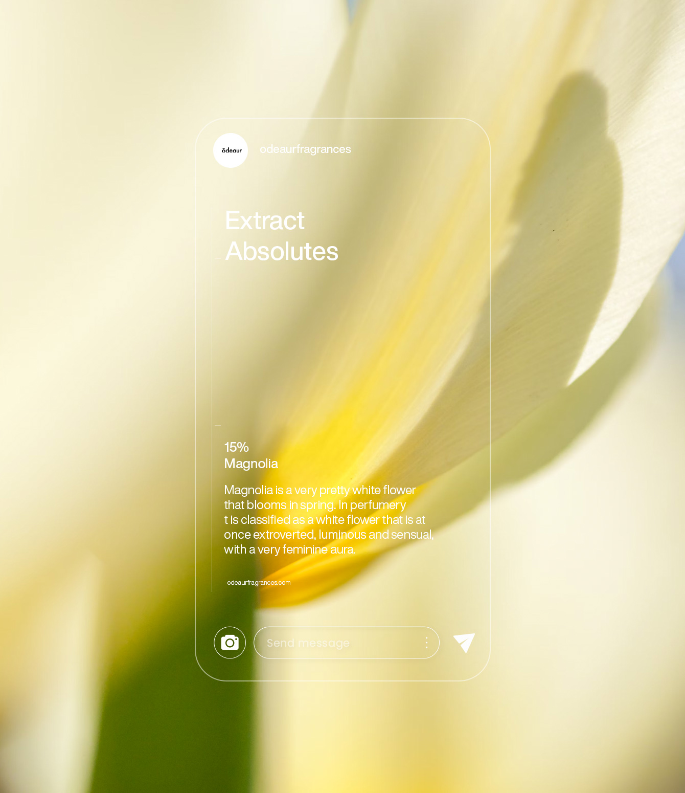 White flower with a iPhone screen mockup in the middle for social media content